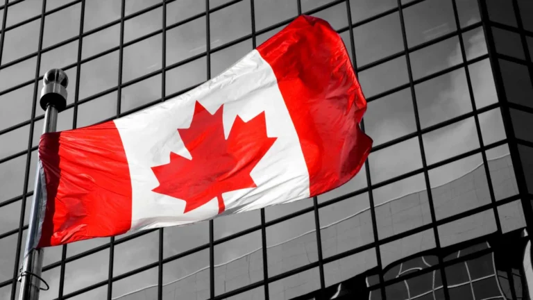Canada flag for Immigration professionals